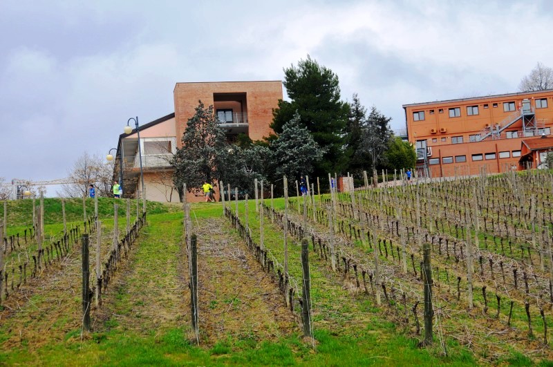 28o_Giro_del_Castello - GFG_2895.JPG