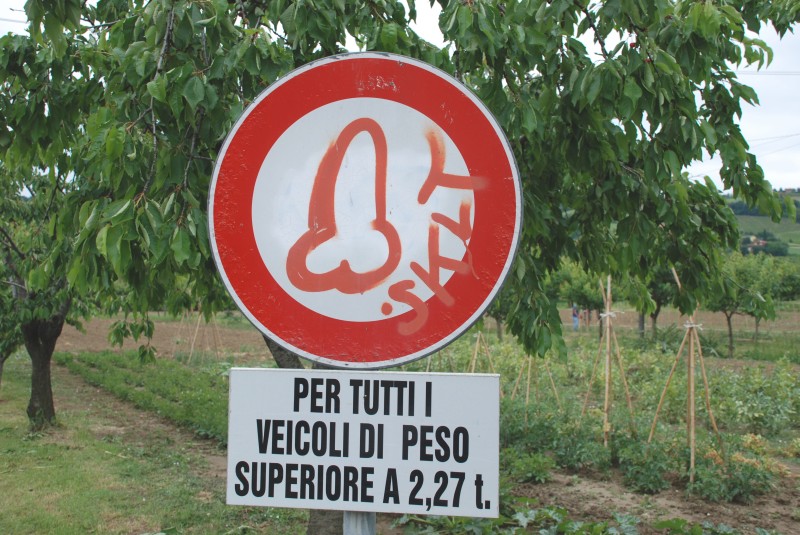 29a_Corsa_podistica_del_Foglia - DSC_0085.JPG