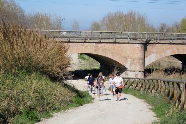 2a_Podistica_della_Segavecchia - IMG_0299.jpg