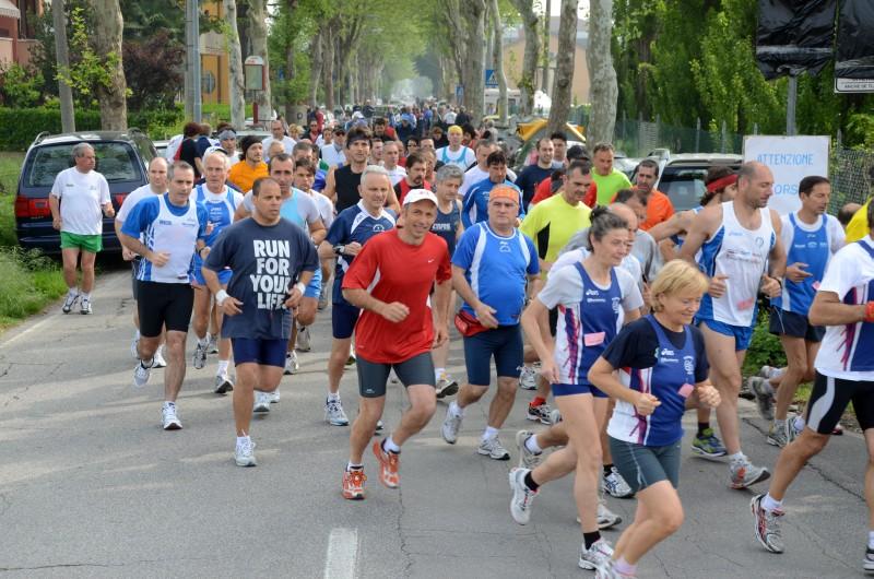 39a_Camineda_straca - GFG_8647.JPG
