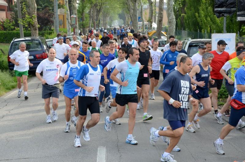 39a_Camineda_straca - GFG_8648.JPG