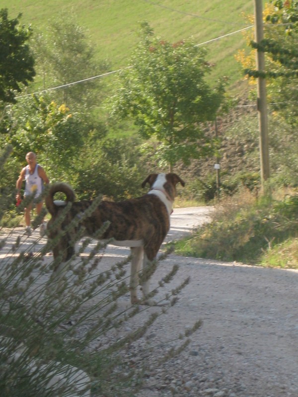 5a_Corsa_della_Salute - IMG_0532.JPG