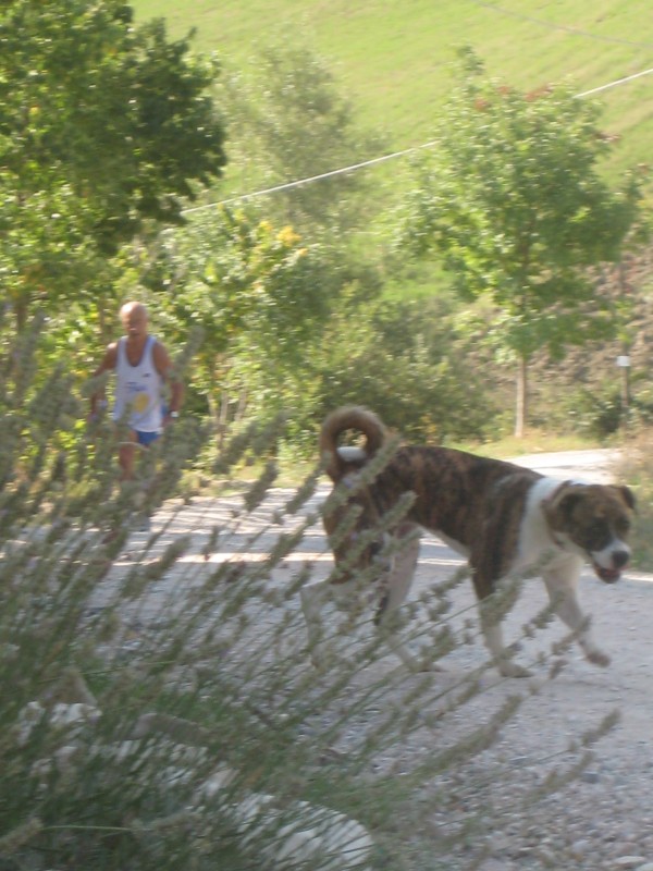 5a_Corsa_della_Salute - IMG_0533.JPG