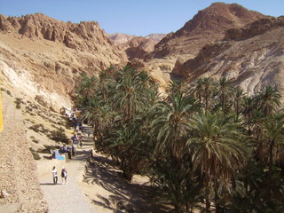 CHOTT_MARATHON - 3.jpg