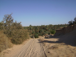 CHOTT_MARATHON - b.jpg