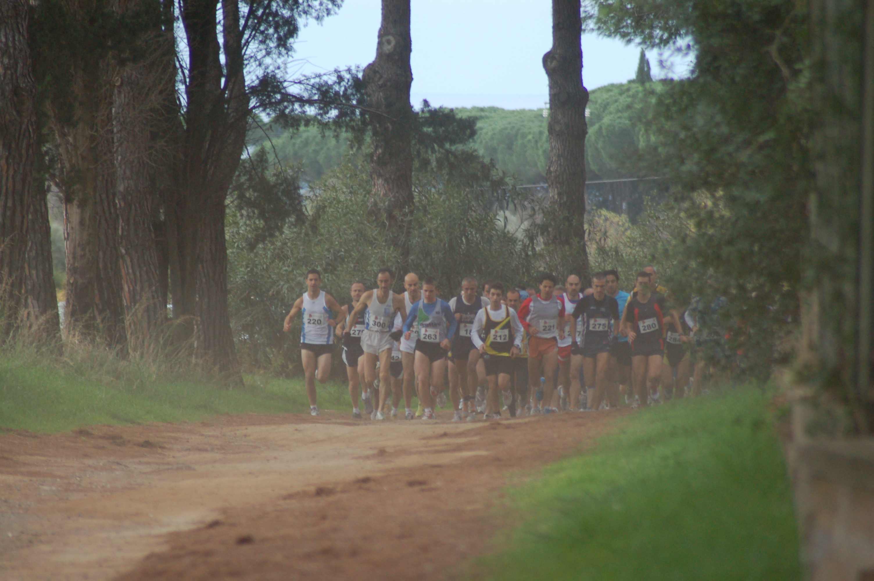 Cerveteri in Corsa 2008