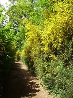 EcomaratonadiRoma - 4.jpg