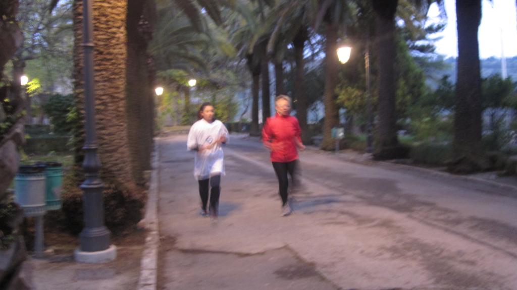 Giornata_Mondiale_del_Diabete_con_100_Km_del_Passeggiatore - Inge Giulia Ore serali quasi fine staffetta.jpg