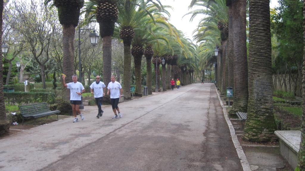 Giornata_Mondiale_del_Diabete_con_100_Km_del_Passeggiatore - Vialone centrale con staffettisti e centisti.JPG