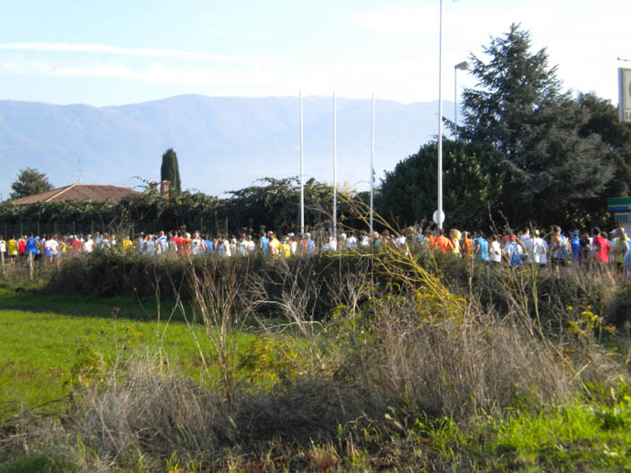 Mezza_Maratona_Trofeo_Giacomo_Ippoliti - Cisterna 2010 Fase gara 2.jpg