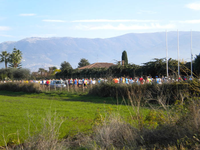 Mezza_Maratona_Trofeo_Giacomo_Ippoliti - Cisterna 2010 Fase gara 3.jpg