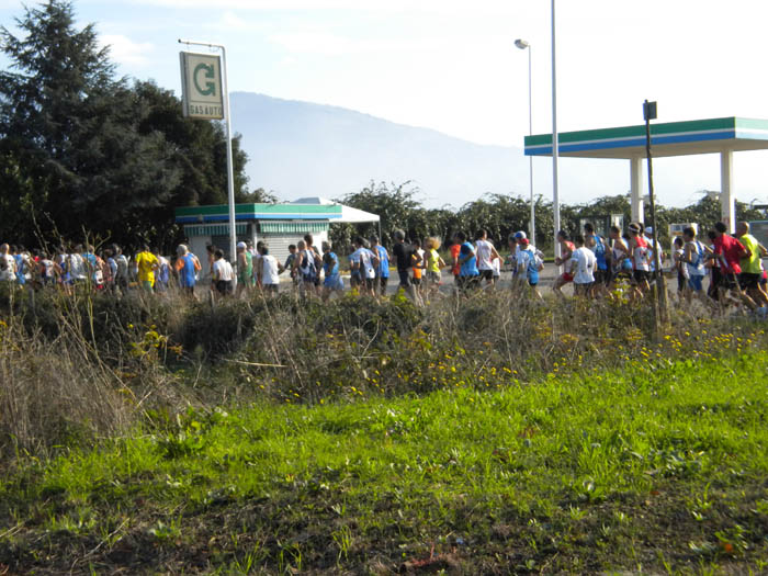 Mezza_Maratona_Trofeo_Giacomo_Ippoliti - Cisterna 2010 Fase gara.jpg