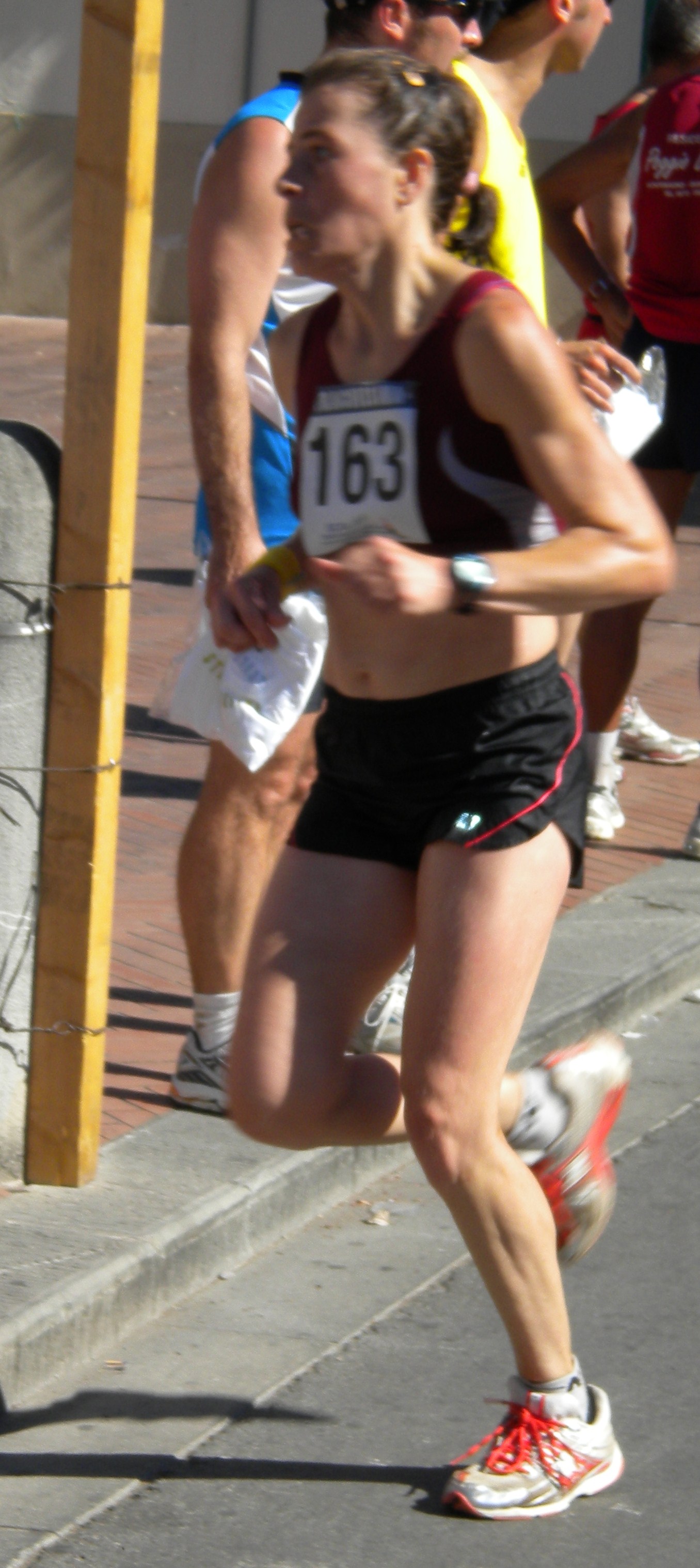 STRACHIESINA_2010 - SARA ORSI.JPG