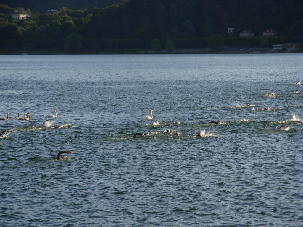 Triathlon_Aronamen - LMaggiore11 033.jpg