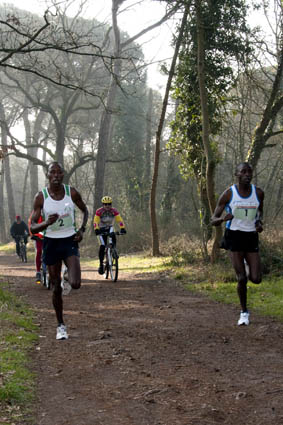 Valli_e_Pinete_2011 - La gara 323x.jpg