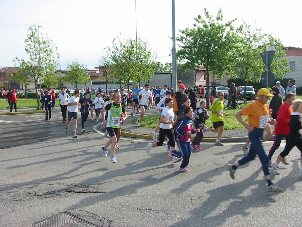 _25a_TRENZALONGA - Trenzalonga 2012 039.jpg