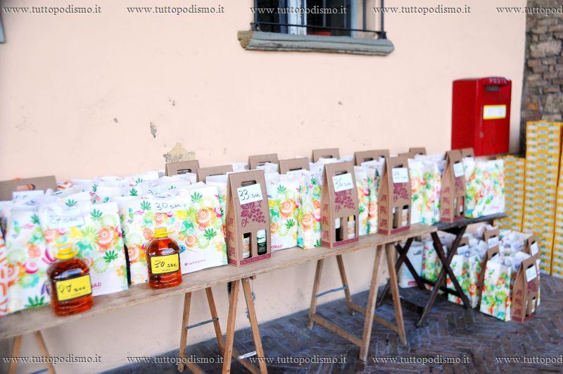 5_Ville_di_Bertinoro_48o_Cross_dell_Albana - DSC_2128.JPG