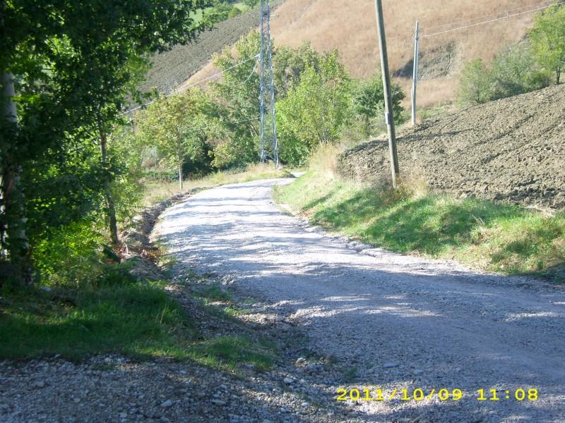7a_Corsa_della_Salute - DSCI0001.JPG