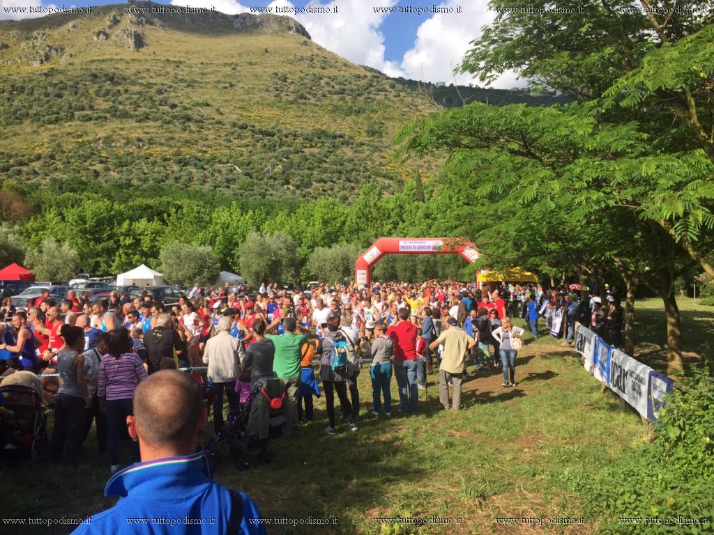 Campestre_Oasi_di_Ninfa_2015 - Ninfa_2015_5.jpg