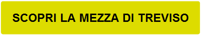 Rettangolo arrotondato: SCOPRI LA MEZZA DI TREVISO 
